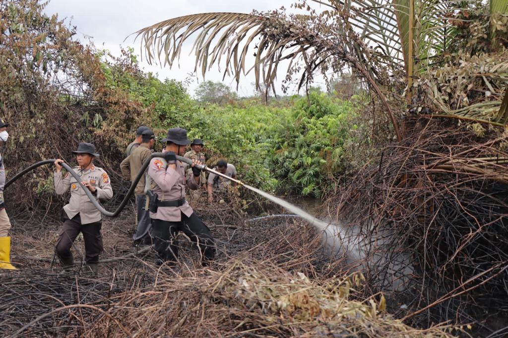 Tim gabungan dari TNI, Polri, BPBD Meranti, bantun padamkan api kebakaran hutan