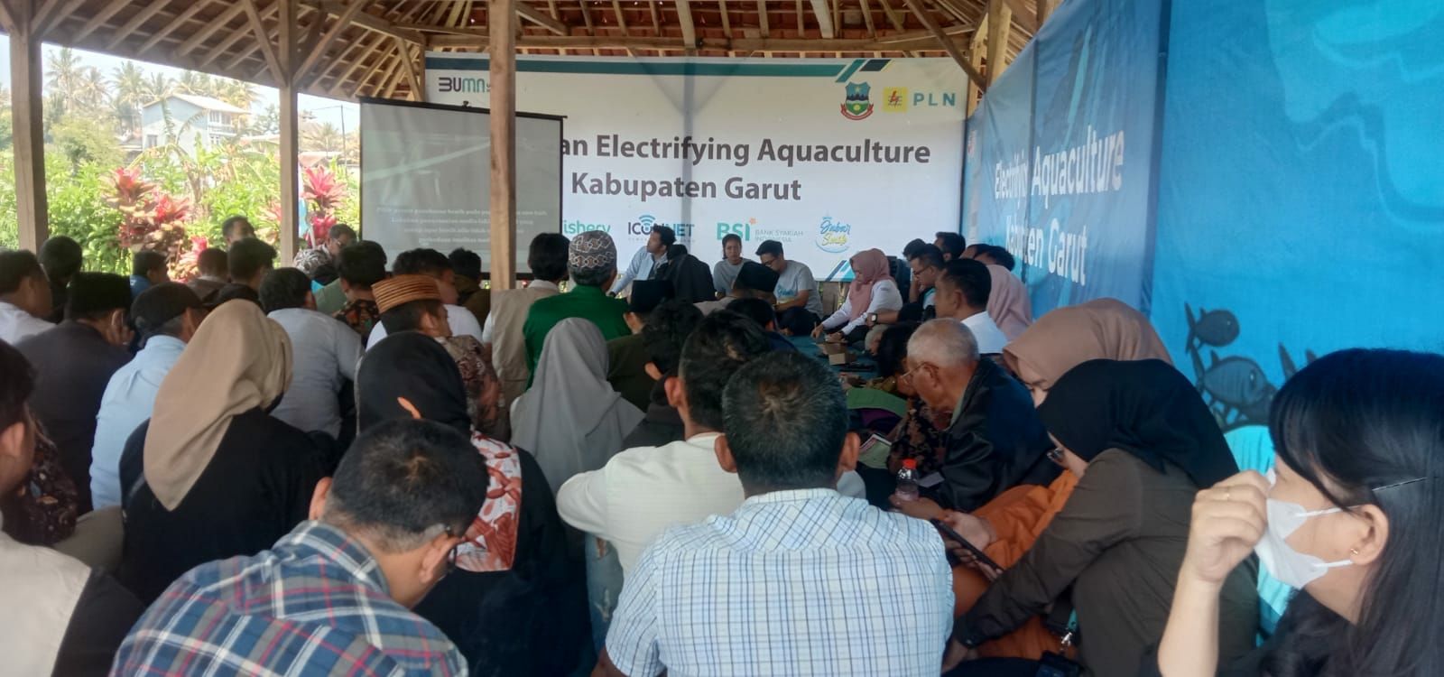 PLN