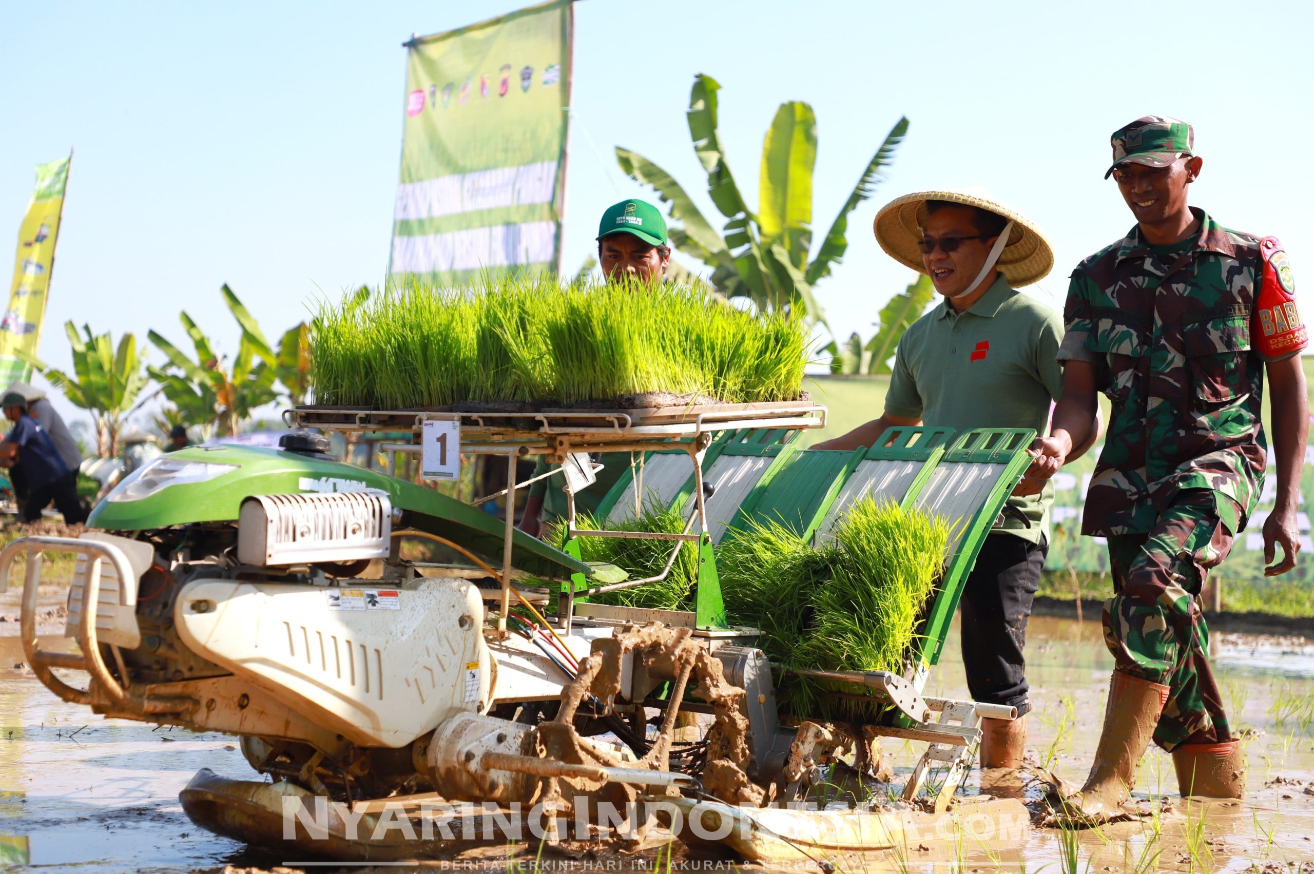 Bupati Bandung Dadang Supriatna, penanaman bibit padi dalam mendukung kegiatan petani lokal meningkatkan produktivitas dan ketahanan pangan nasional