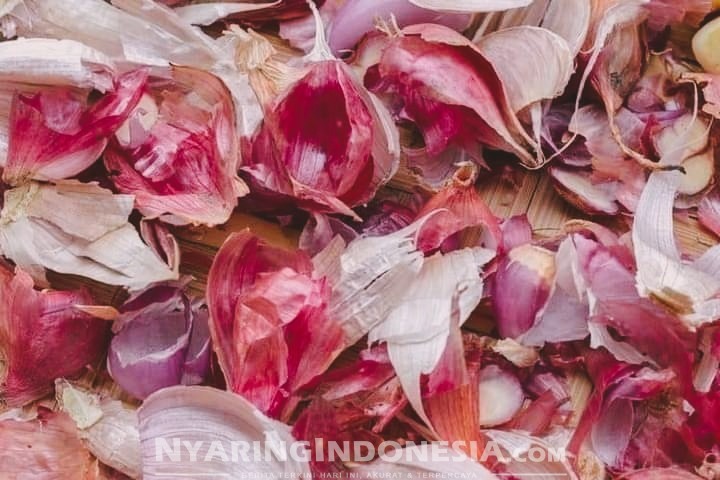Ilustrasi Kulit Bawang Merah