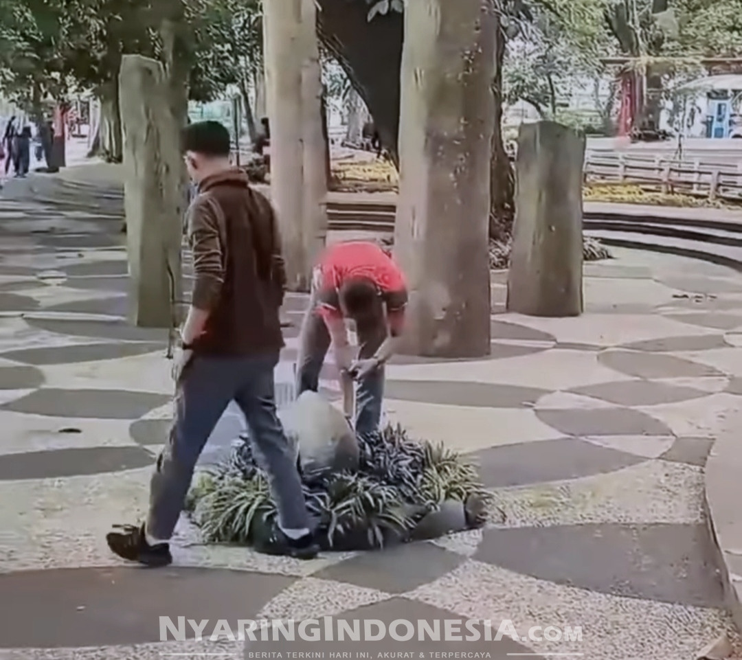 Viral para peserta lomba Aplikasi mencari koin, berpotensi merusak taman kota