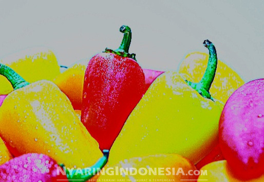Harga Bahan Pokok
