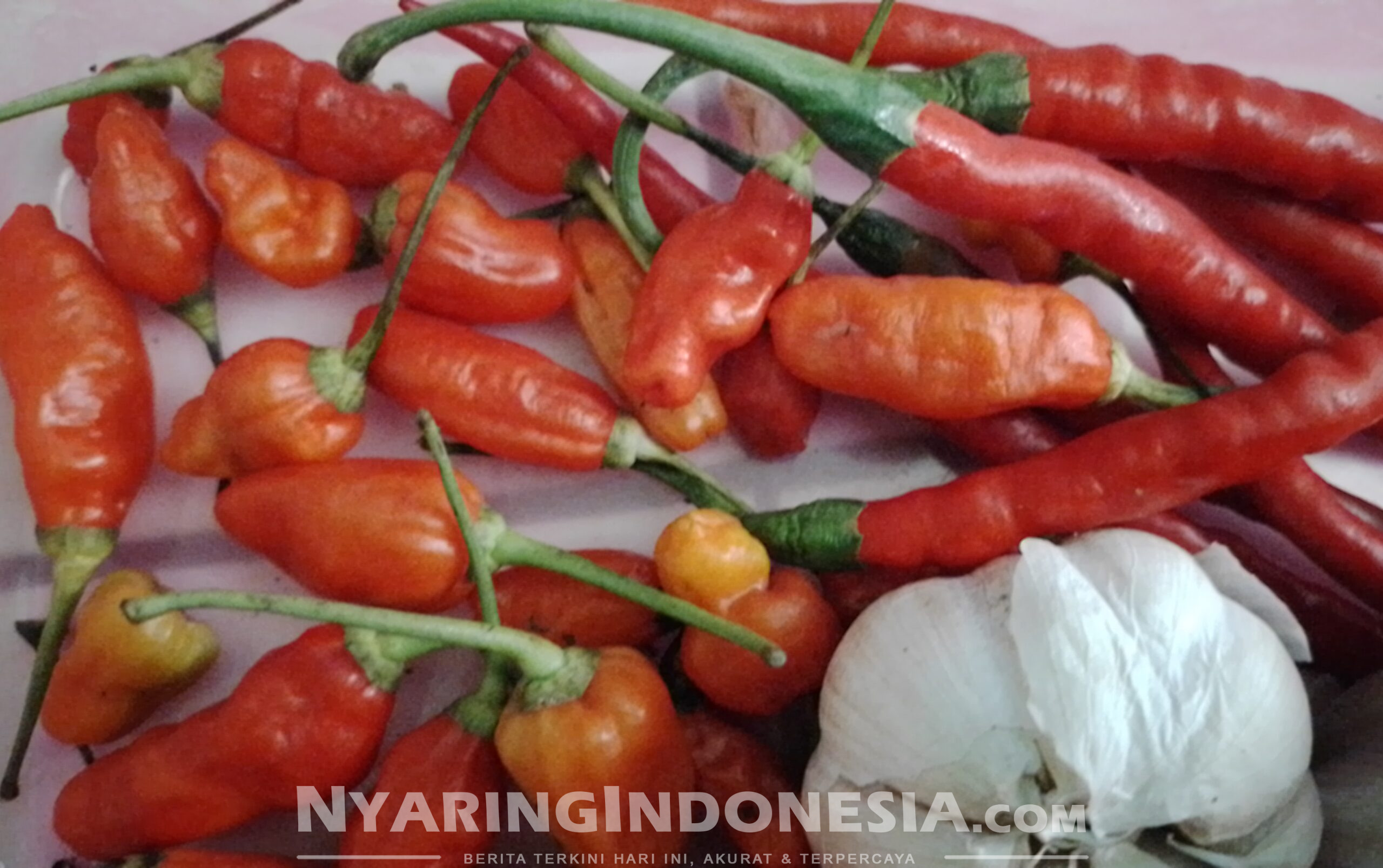 Harga Kepokmas