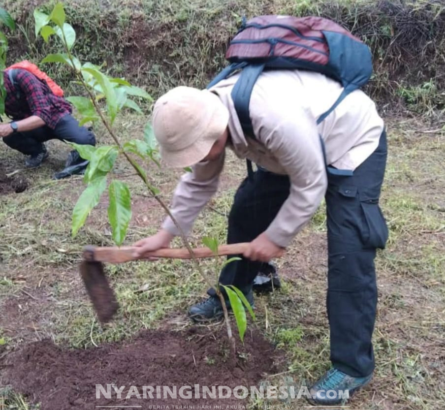 Penanaman Pohon