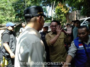 IMG 20250308 WA0003 1