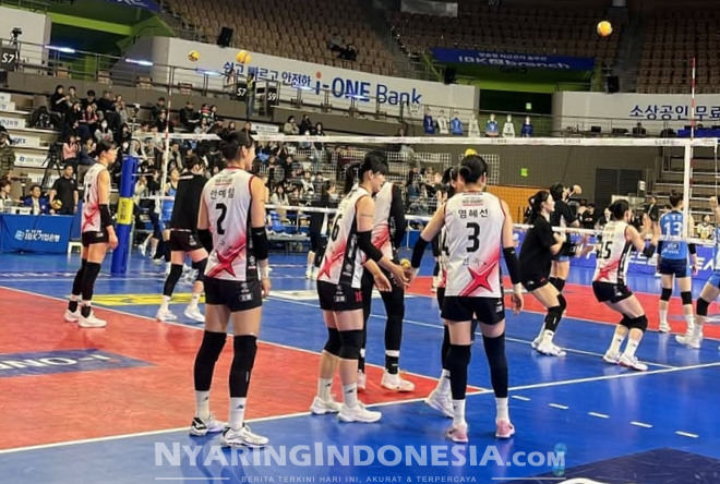 Liga voli korea