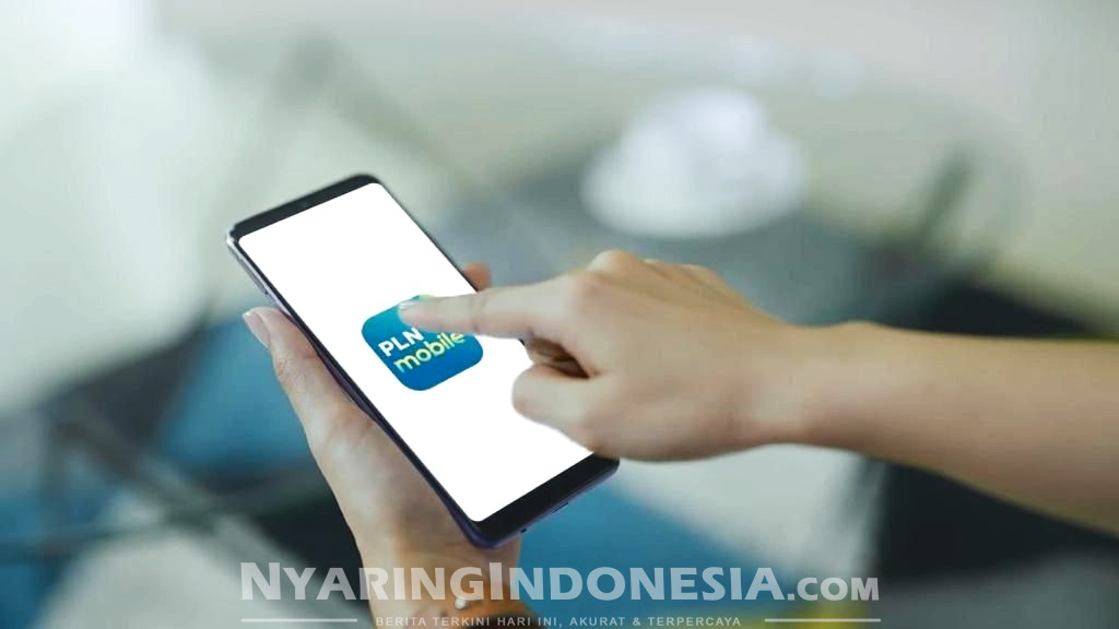 PLN