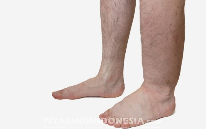 kesehatan
