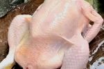 Ayam Potong