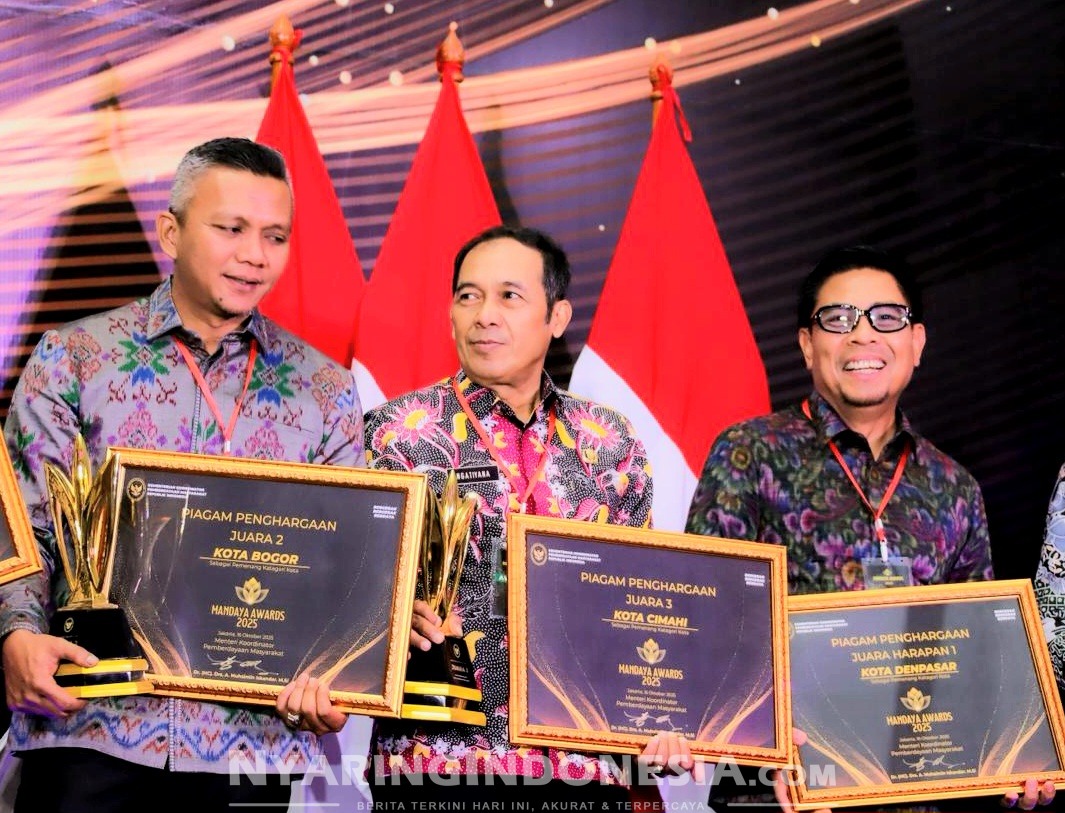 Mandaya Award 2025