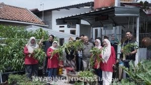 BRI Bantu Warga Bandung Kembangkan Pertanian Perkotaan Lewat Program BRInita 2 IMG 20251024 WA0093