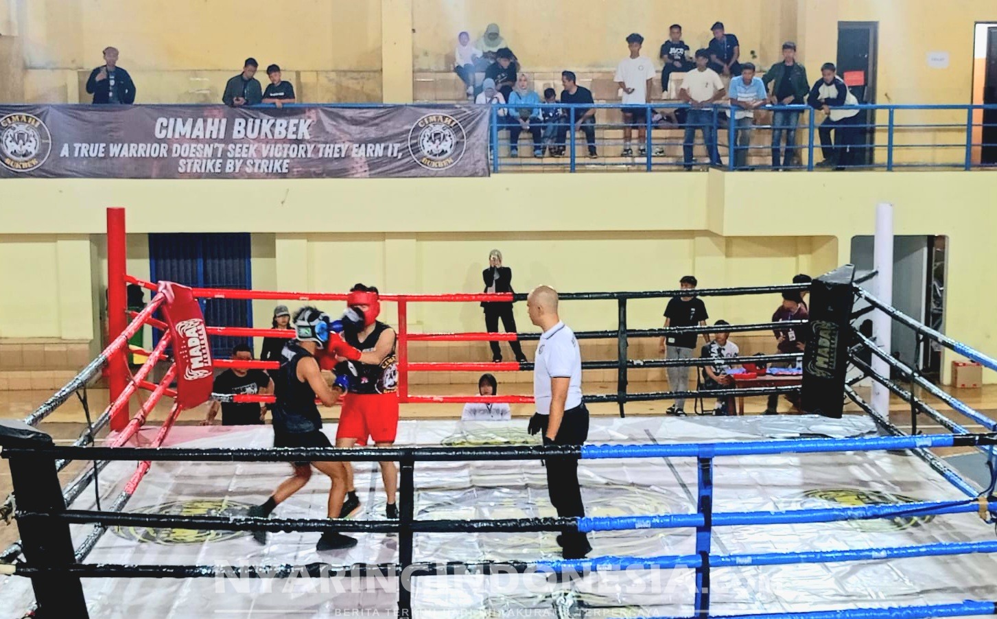 Eksebisi Muaythai